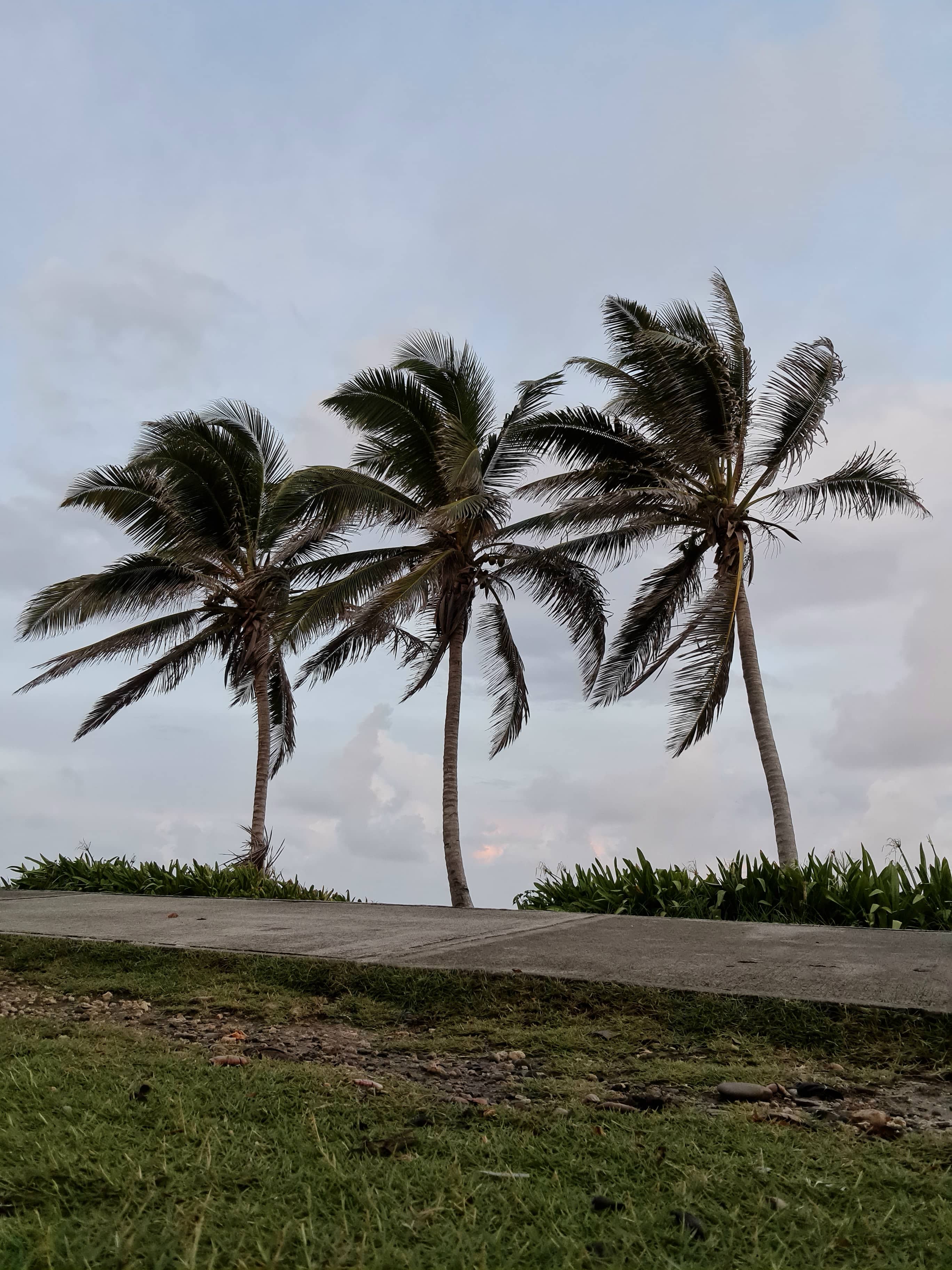 Relajación en Colombia